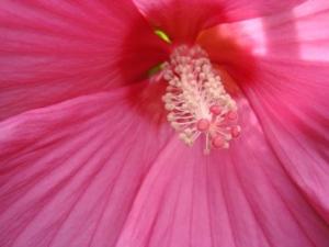 ???????????????????????????????