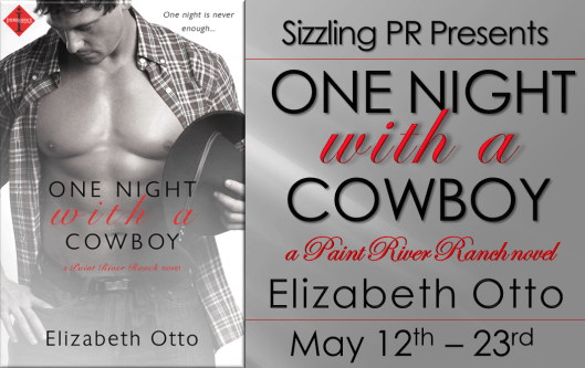 One Night with a Cowboy
