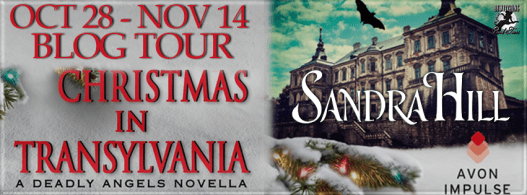 Christmas in Transylvania Banner 851 x 315
