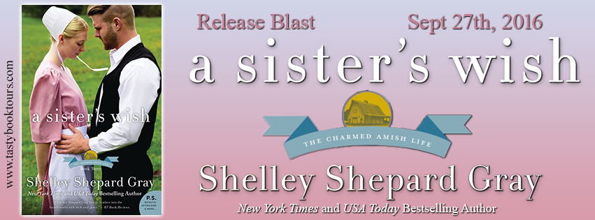 rb-asisterswish-ssgray_final