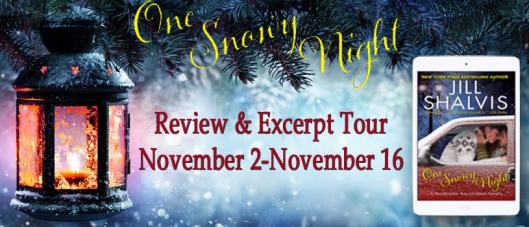 one-snowy-night-tour-banner